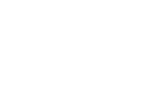 Terza